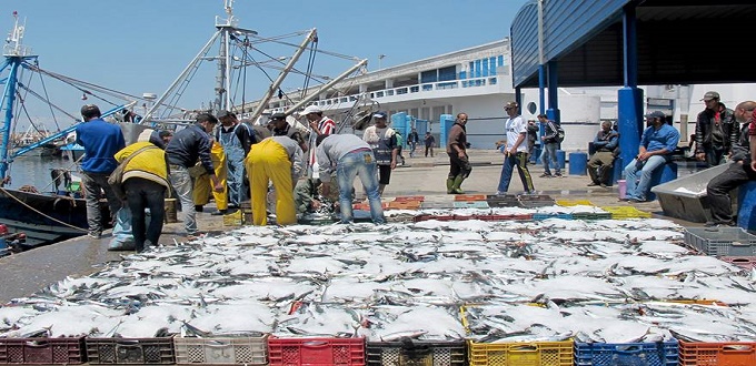 Production halieutique: Les débarquements chutent à fin mai